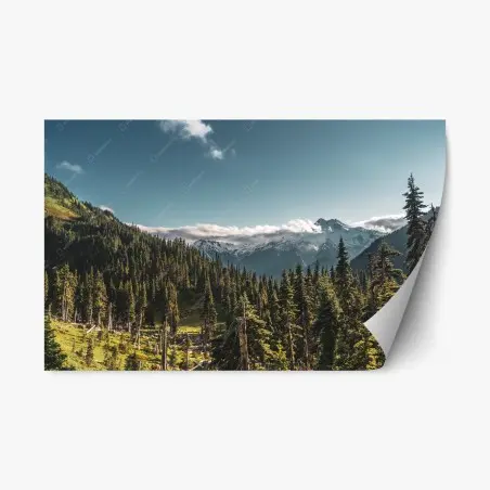 Pegatina reposicionable paisaje alpino con bosque y picos nevados – Pixers®