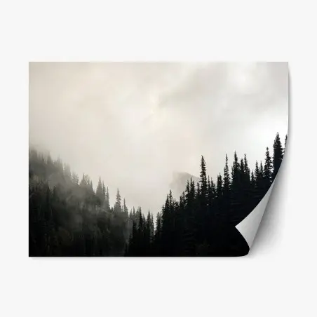 Pegatina reposicionable bosque envuelto en niebla de tonos sobrios – Pixers®