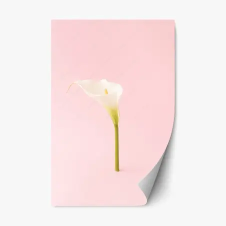 Pegatina reposicionable cala blanca minimalista sobre fondo rosa – Pixers®