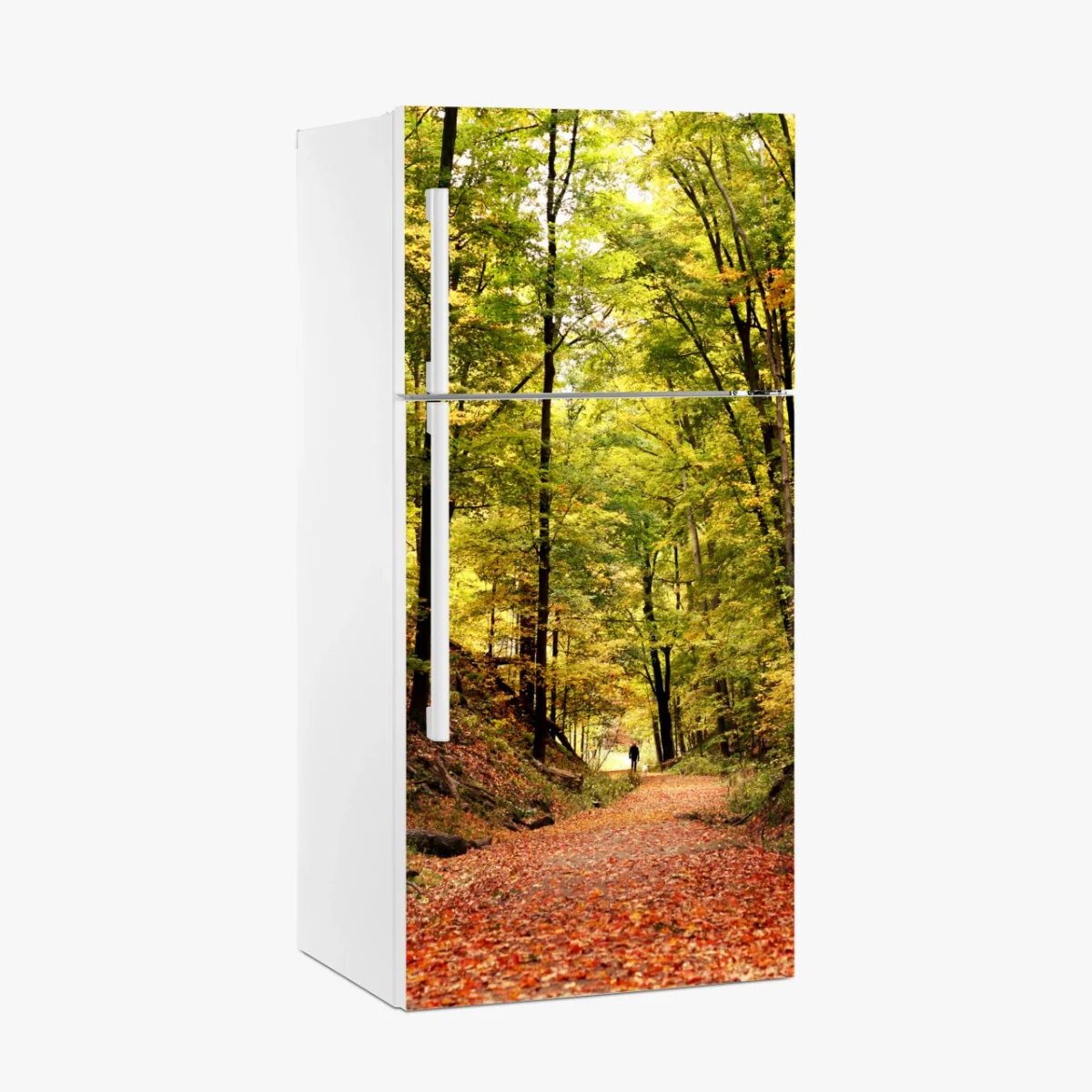 Pegatina para frigorífico sendero otoñal en el bosque – Pixers® Pegatina para frigorífico sendero otoñal en el bosque – Pixers®