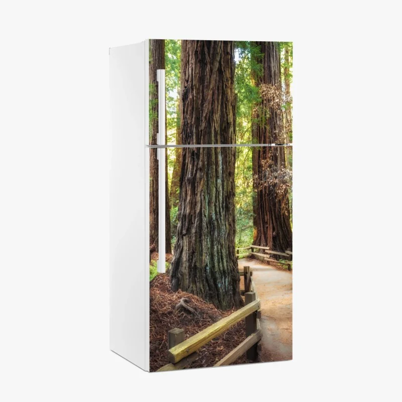 Pegatina para frigorífico sendero entre secuoyas gigantes