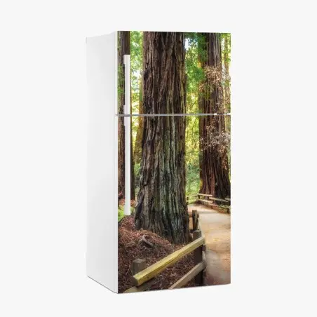 Pegatina para frigorífico sendero entre secuoyas gigantes – Pixers®