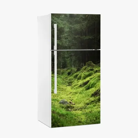 Pegatina para frigorífico sendero cubierto de musgo en bosque – Pixers®