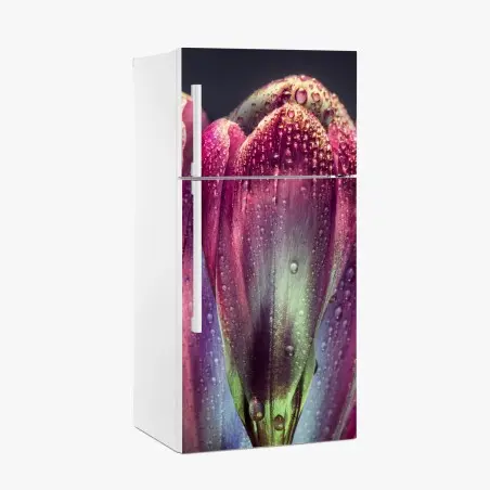 Pegatina para frigorífico capullo púrpura con gotas de rocío – Pixers®