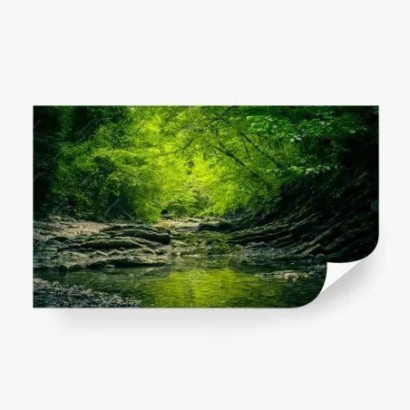 Fotomural serenidad del arroyo en bosque verde – Pixers®
