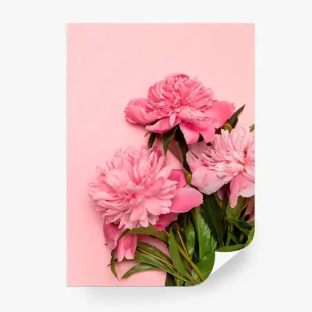 Fotomural peonías sobre fondo rosa – Pixers®