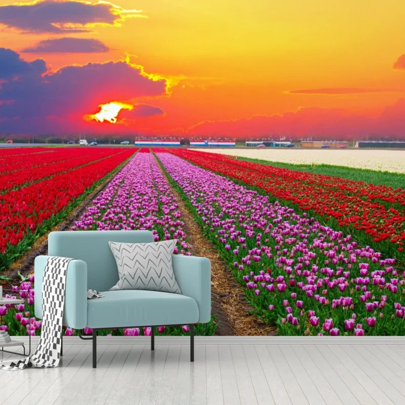 Fotomural paisaje de tulipanes al atardecer