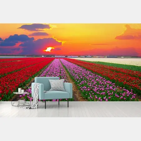 Fotomural paisaje de tulipanes al atardecer – Pixers®