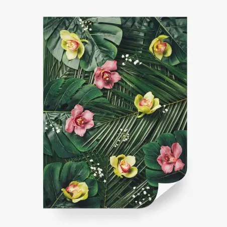 Fotomural selva floral: composición tropical de orquídeas – Pixers®