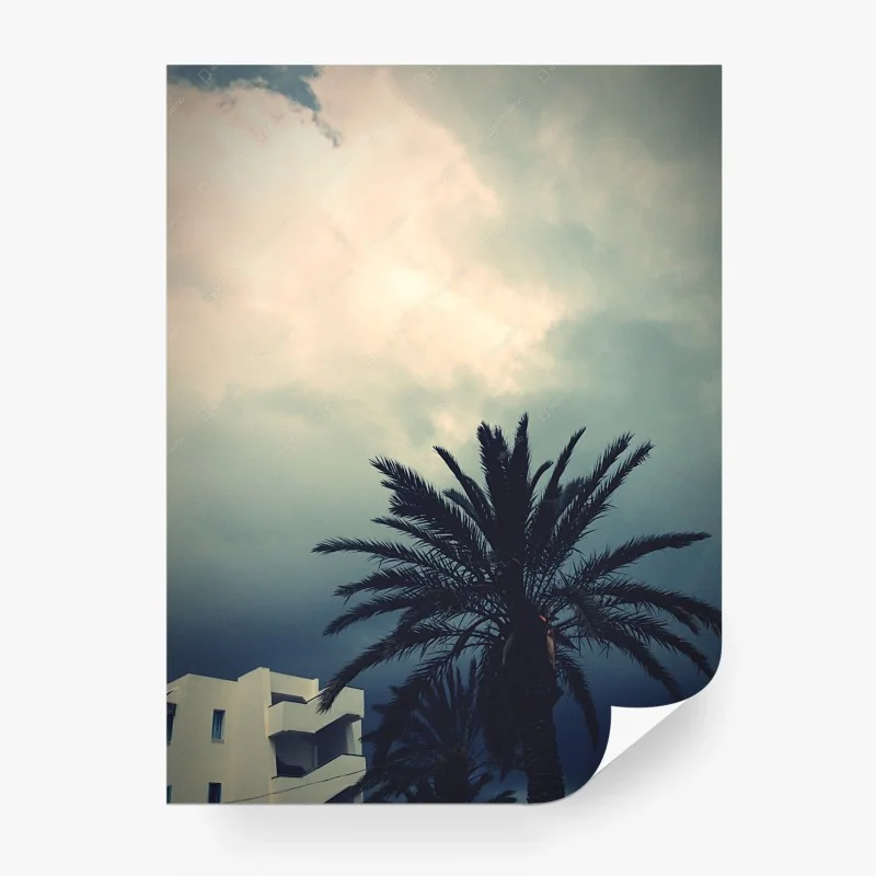 Fotomural palmera bajo cielo tormentoso