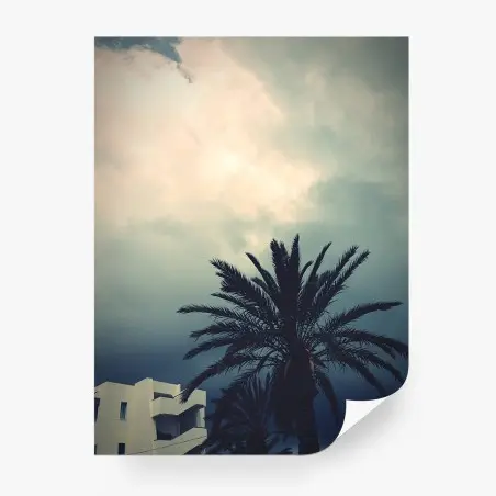 Fotomural palmera bajo cielo tormentoso – Pixers®