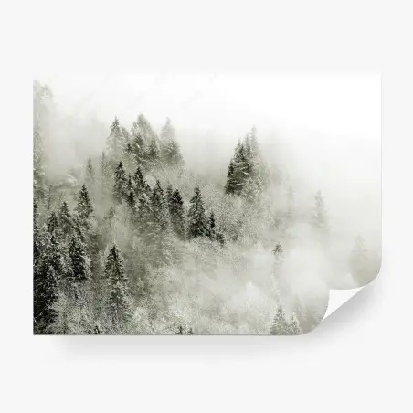 Fotomural bosque nevado en la niebla – Pixers®