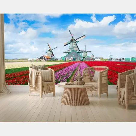 Fotomural paisaje de tulipanes y molinos de viento – Pixers®