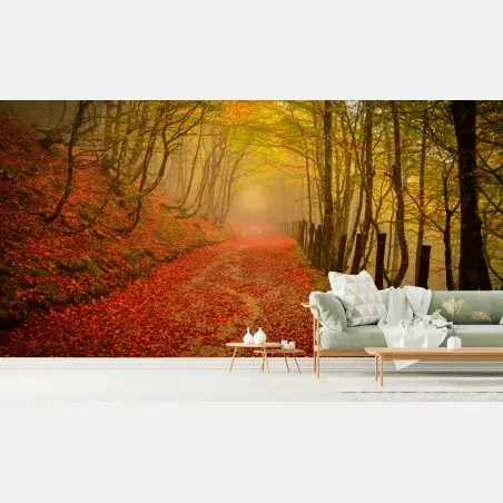 Fotomural sendero otoñal entre niebla y hojas rojas – Pixers®