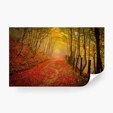 Fotomural sendero otoñal entre niebla y hojas rojas – Pixers®