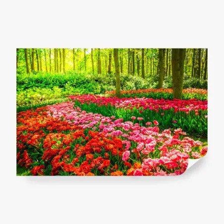Fotomural alfombra de tulipanes en bosque primaveral – Pixers®