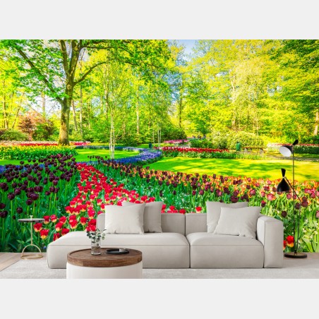 Fotomural jardín de tulipanes en primavera – Pixers®