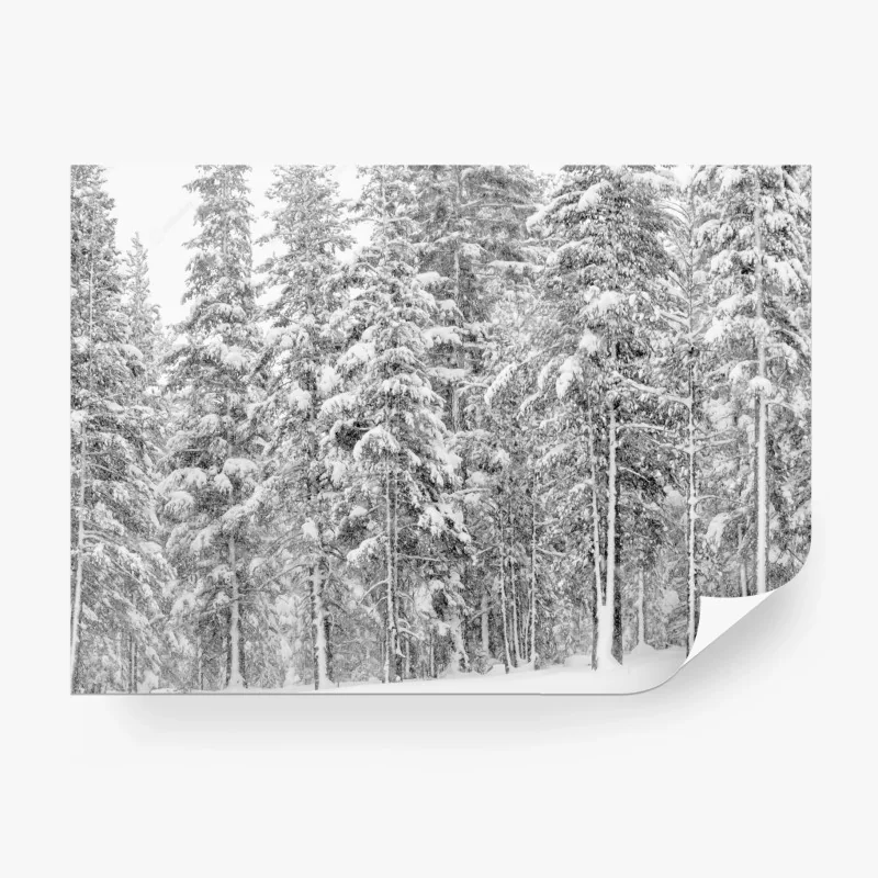 Fotomural bosque nevado en calma