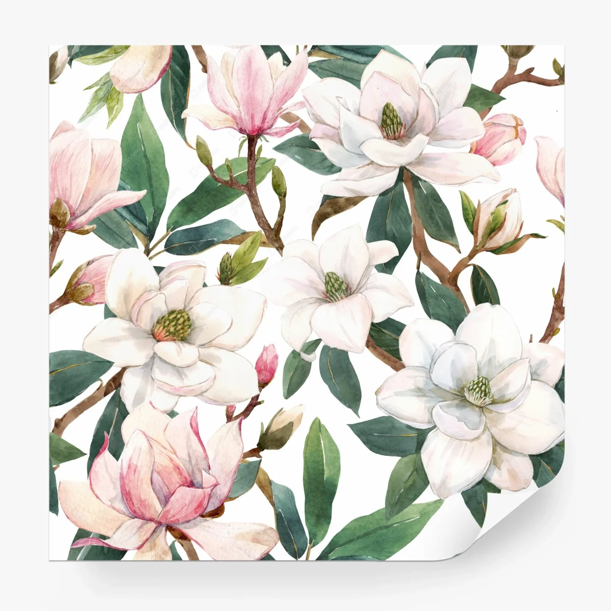 Fotomural magnolias en acuarela sobre fondo blanco – Pixers® Fotomural magnolias en acuarela sobre fondo blanco – Pixers®