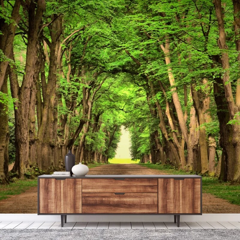 Fotomural avenida de árboles en túnel verde