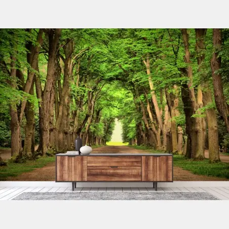 Fotomural avenida de árboles en túnel verde – Pixers®