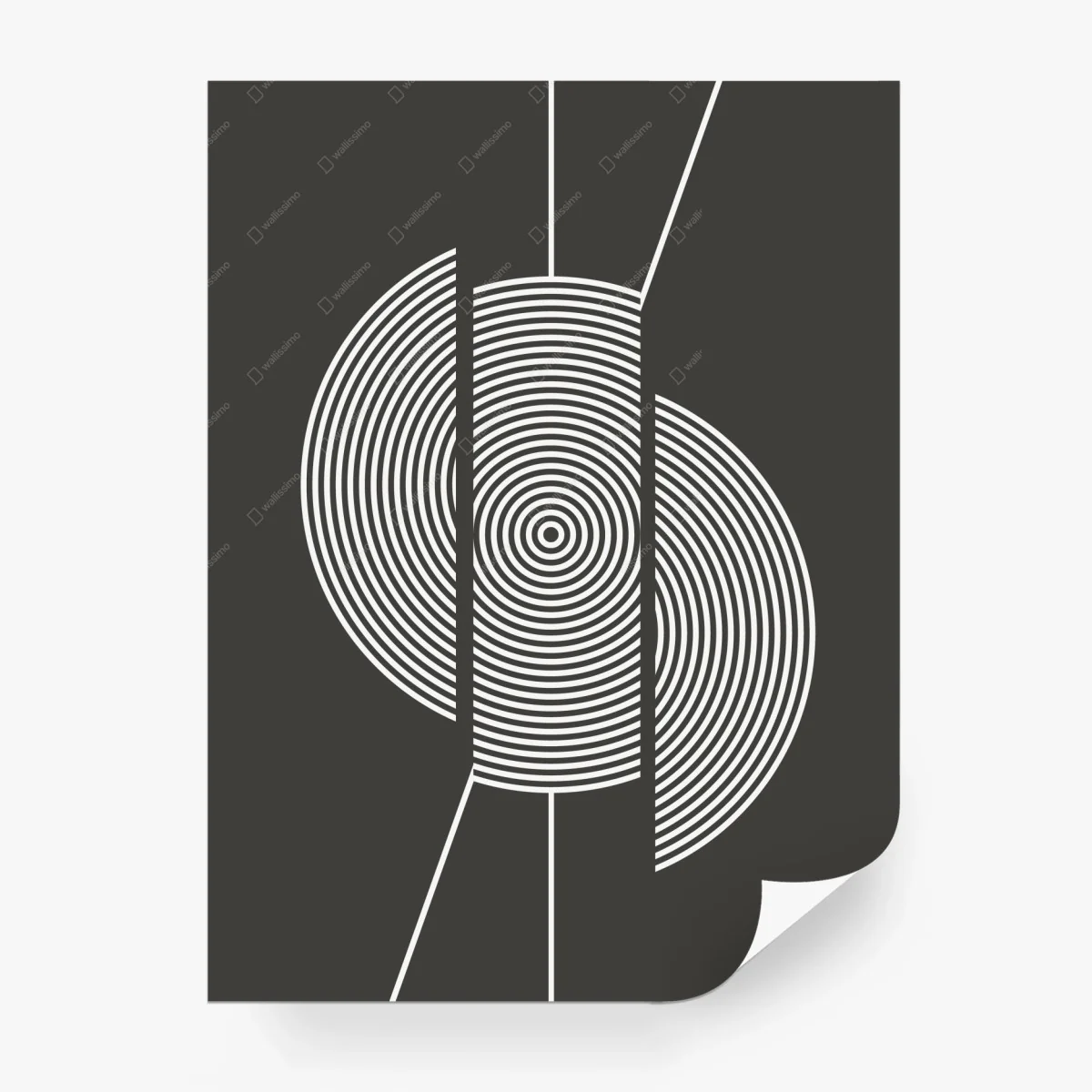 Fotomural composición geométrica de círculos concéntricos en blanco y negro – Pixers® Fotomural composición geométrica de círculos concéntricos en blanco y negro – Pixers®