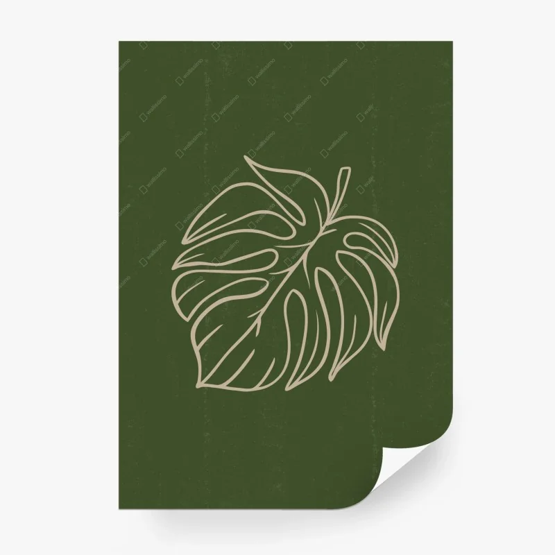 Fotomural hoja de monstera en línea sobre fondo verde