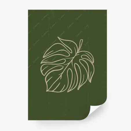 Fotomural hoja de monstera en línea sobre fondo verde – Pixers®