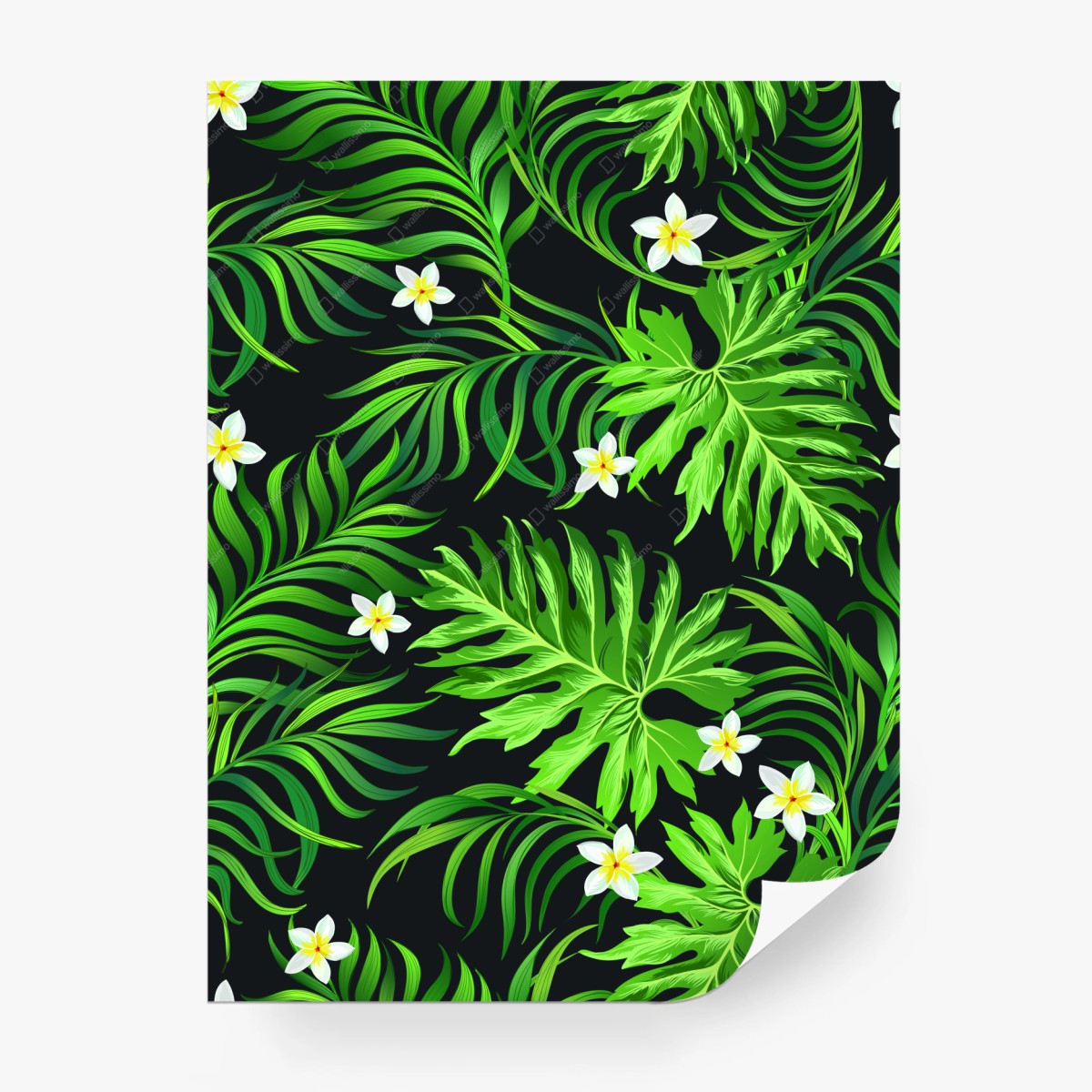 Fotomural patrón tropical de hojas verdes y flores blancas – Pixers®