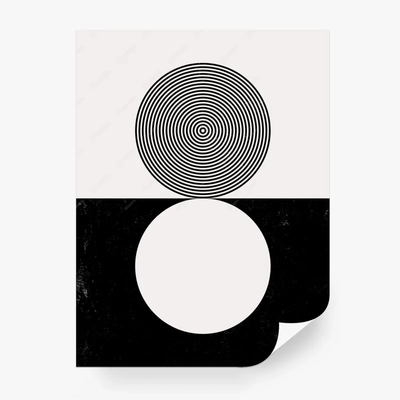 Fotomural círculos contrapuestos: arte geométrico minimalista