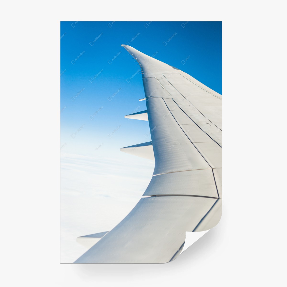 Fotomural ala de avión sobre cielo azul – Pixers®