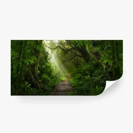 Fotomural sendero entre la selva verde – Pixers®