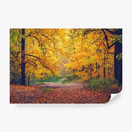 Fotomural sendero dorado en el bosque otoñal – Pixers®