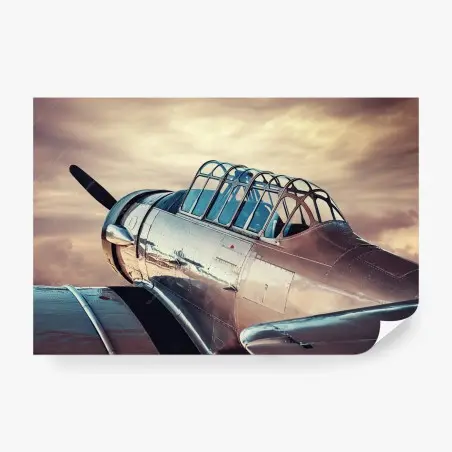 Fotomural cabina de avión clásico al atardecer – Pixers®
