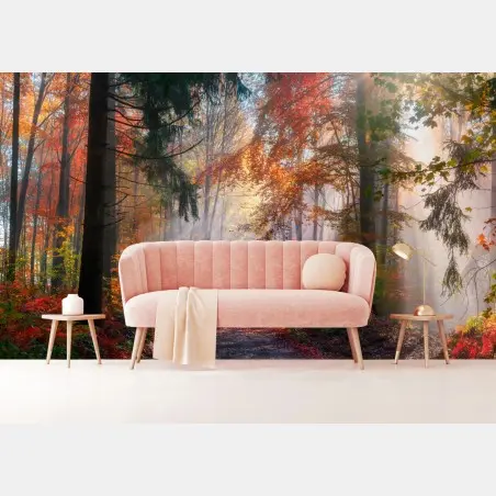 Fotomural bosque otoñal de ensueño – Pixers®