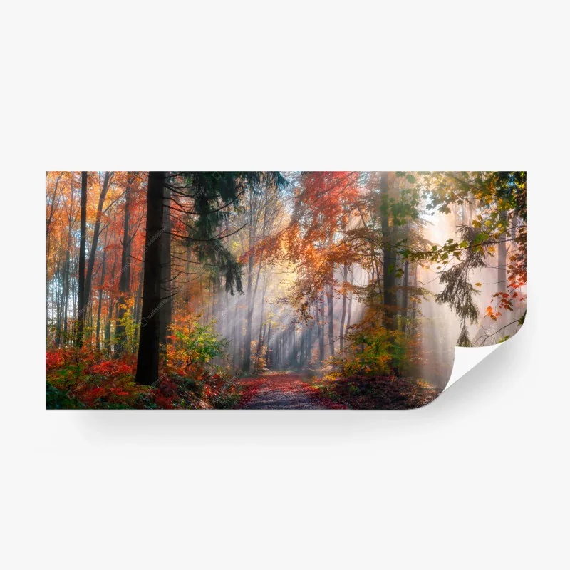 Fotomural bosque otoñal de ensueño
