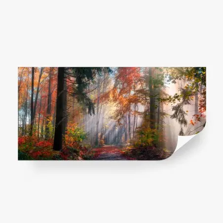 Fotomural bosque otoñal de ensueño – Pixers®