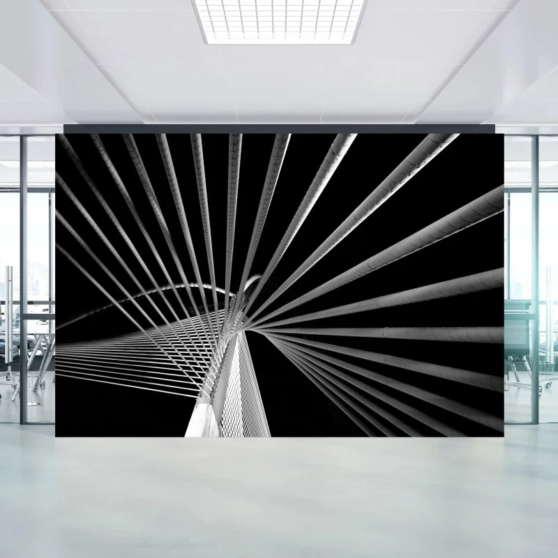 Fotomural arquitectura en líneas: puente de cables en blanco y negro