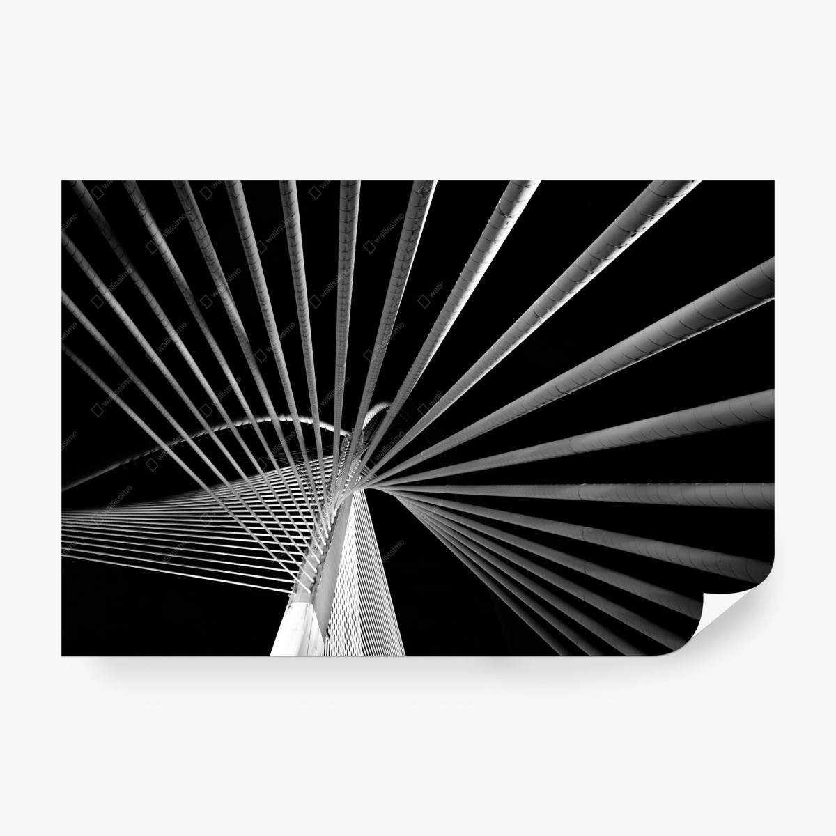 Fotomural arquitectura en líneas: puente de cables en blanco y negro – Pixers®