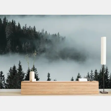 Fotomural bosque en la niebla, calma y misterio – Pixers®