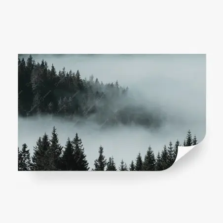 Fotomural bosque en la niebla, calma y misterio – Pixers®
