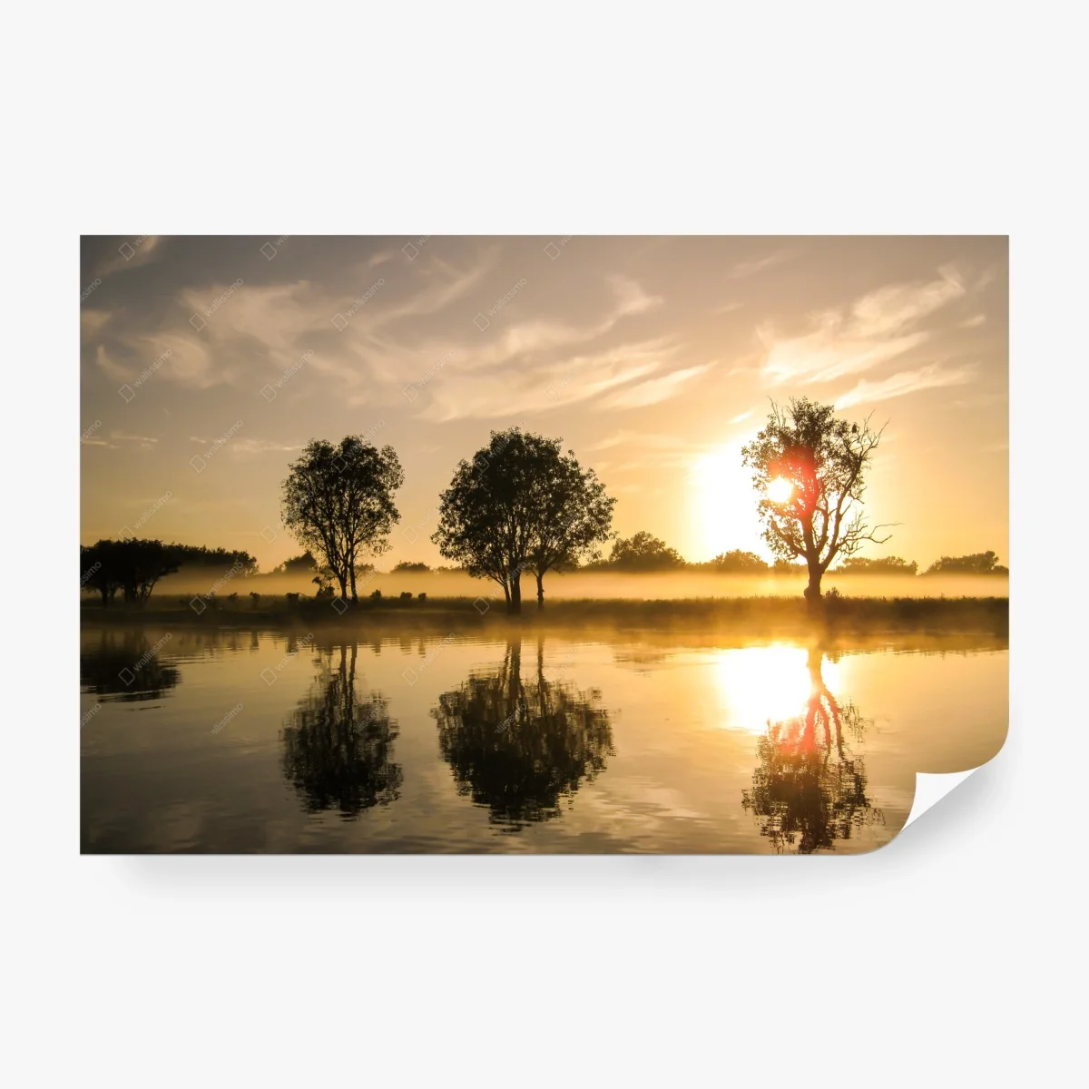 Fotomural amanecer dorado en el lago – Pixers® Fotomural amanecer dorado en el lago – Pixers®