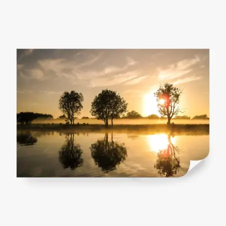 Fotomural amanecer dorado en el lago – Pixers®