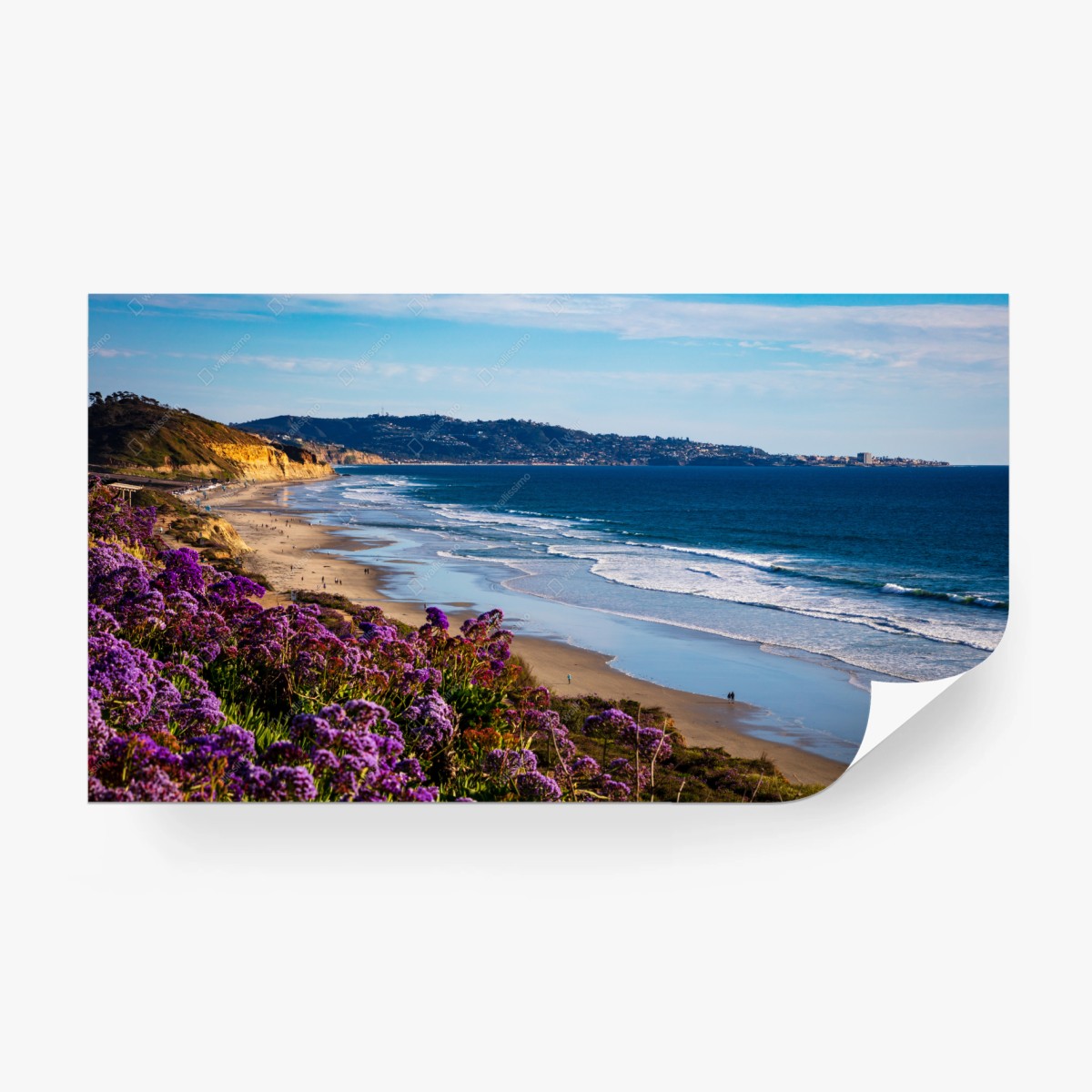 Fotomural litoral en flor: paisaje costero con flores moradas – Pixers®