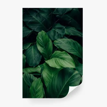 Fotomural follaje tropical en verde profundo – Pixers®