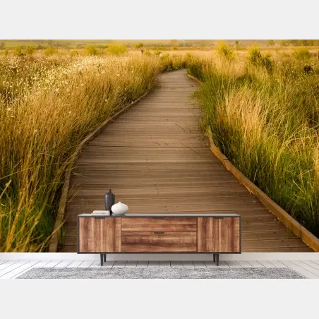Fotomural sendero de madera entre juncos dorados – Pixers®