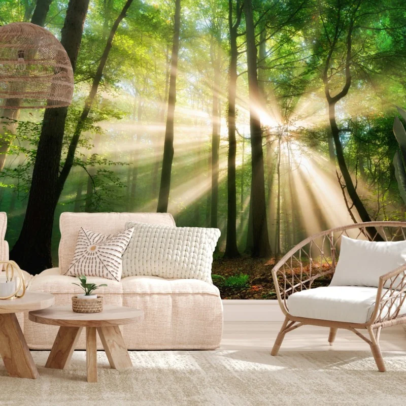 Fotomural amanecer en el bosque: rayos de luz entre árboles