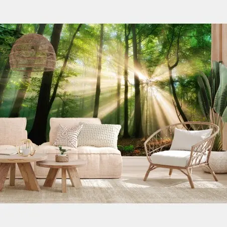 Fotomural amanecer en el bosque: rayos de luz entre árboles – Pixers®