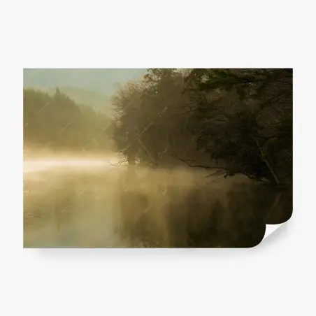 Fotomural niebla sobre el lago al amanecer – Pixers®