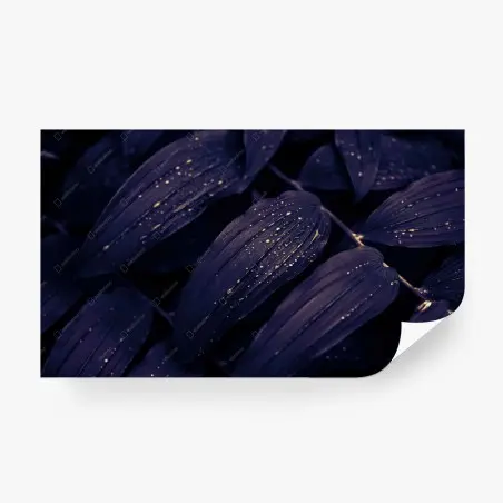 Fotomural hojas nocturnas con gotas brillantes – Pixers®